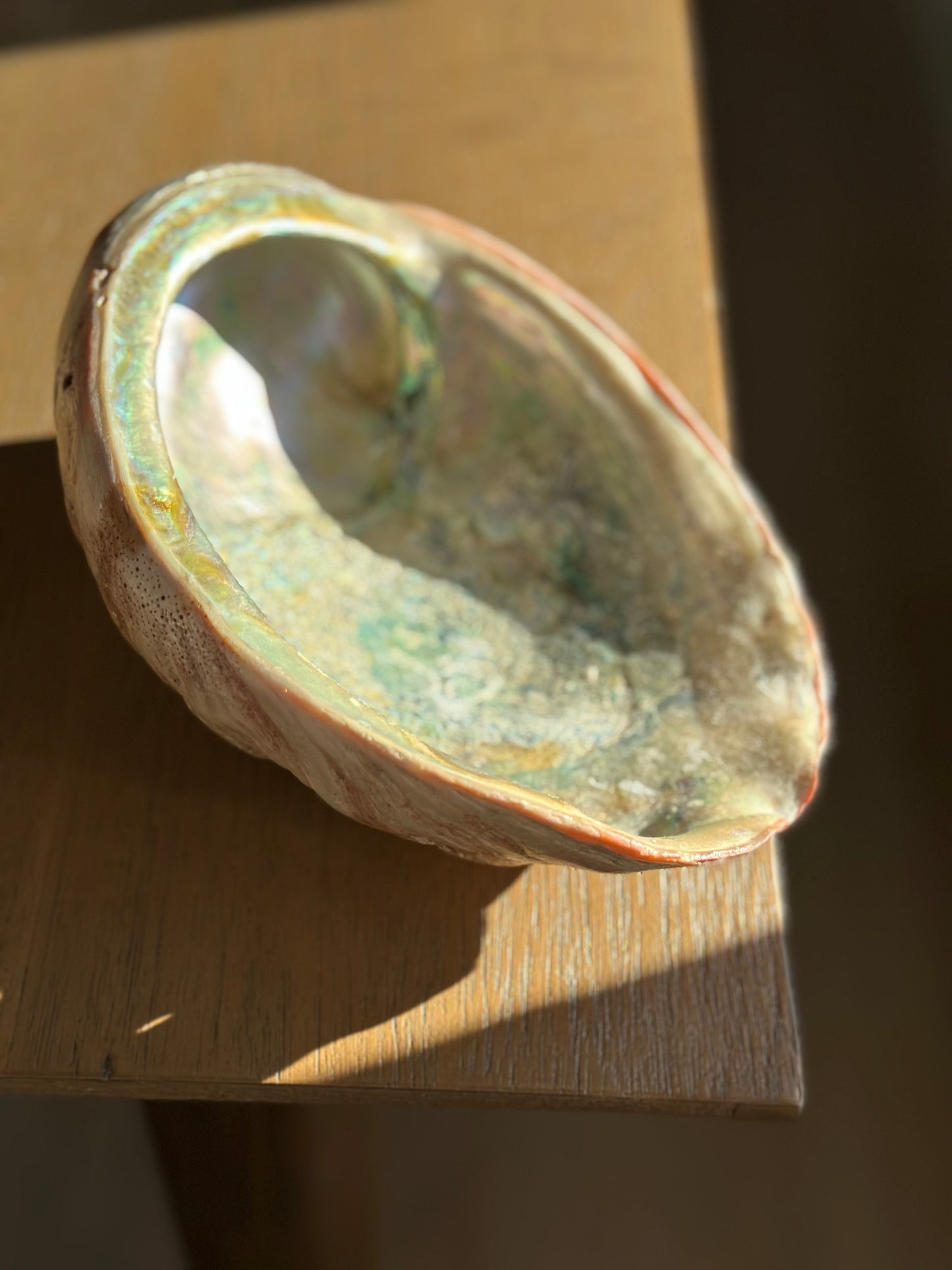 Shell catchall