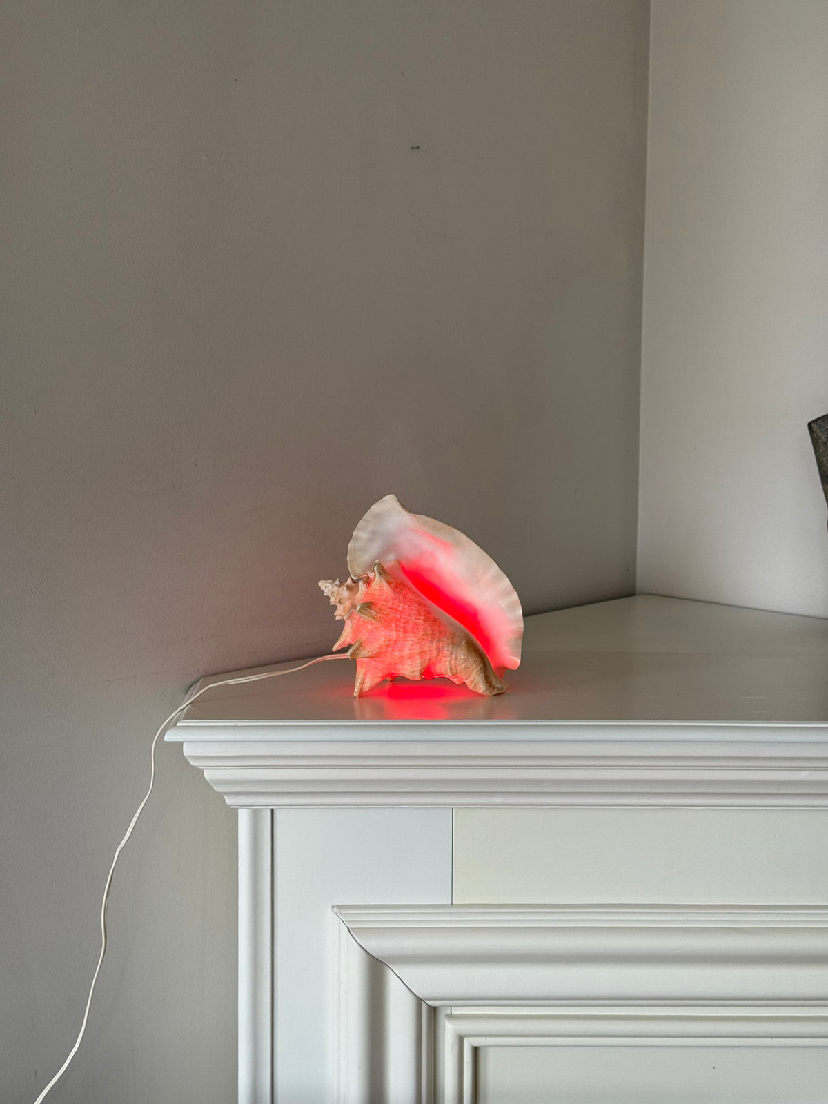 Vintage Sculptural Conch Shell Accent Lamp