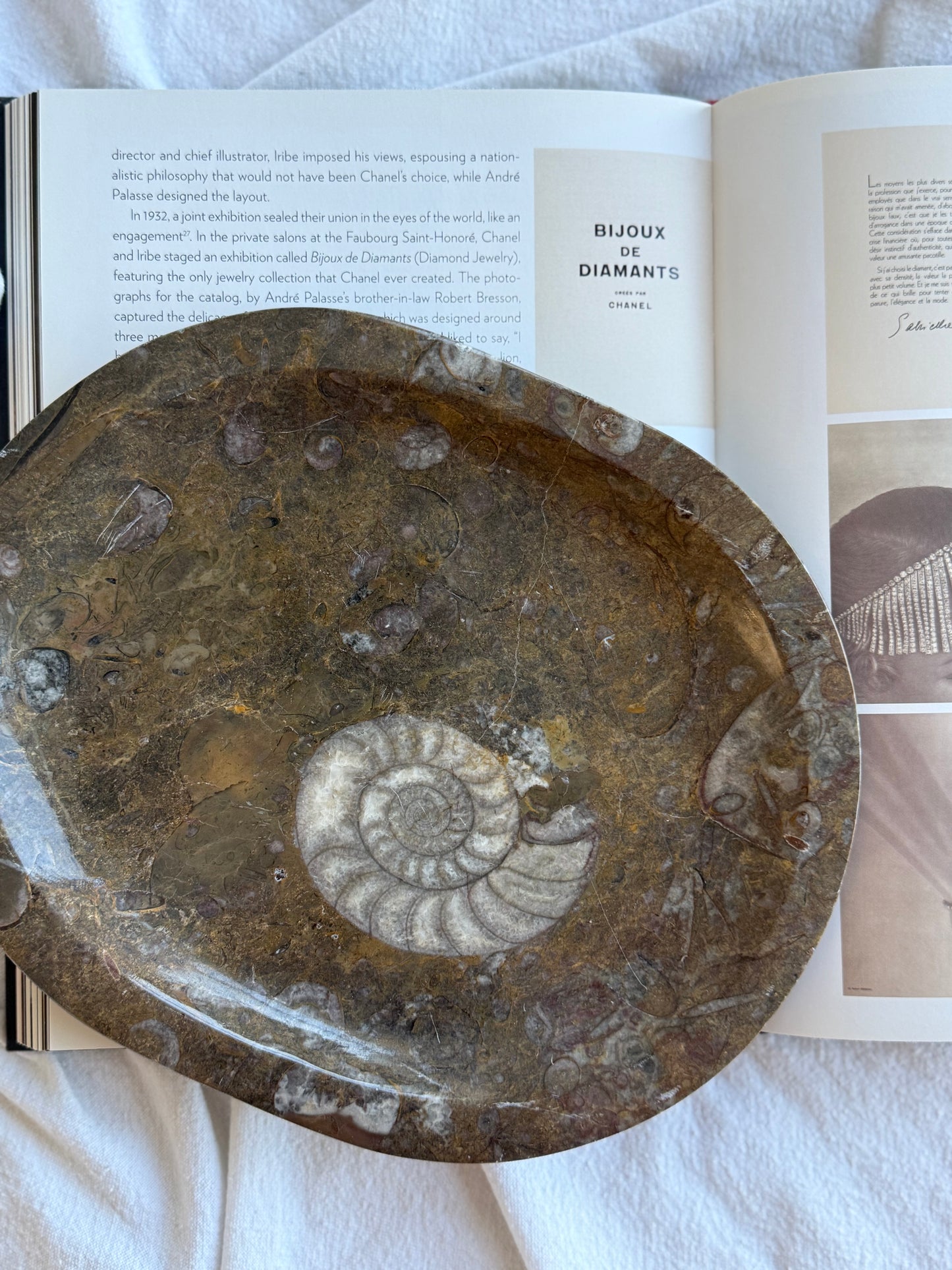 Large Fossil Marble Dish