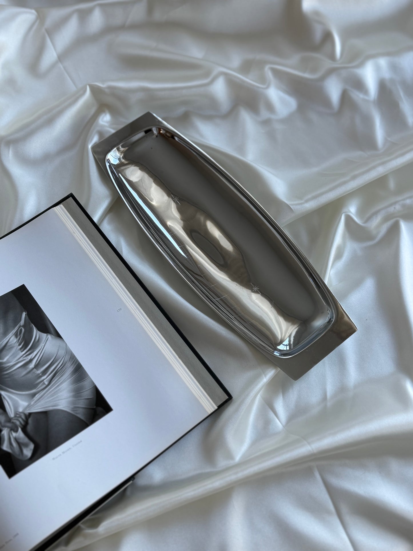 Set of 2 Vintage Stainless Steel Trays