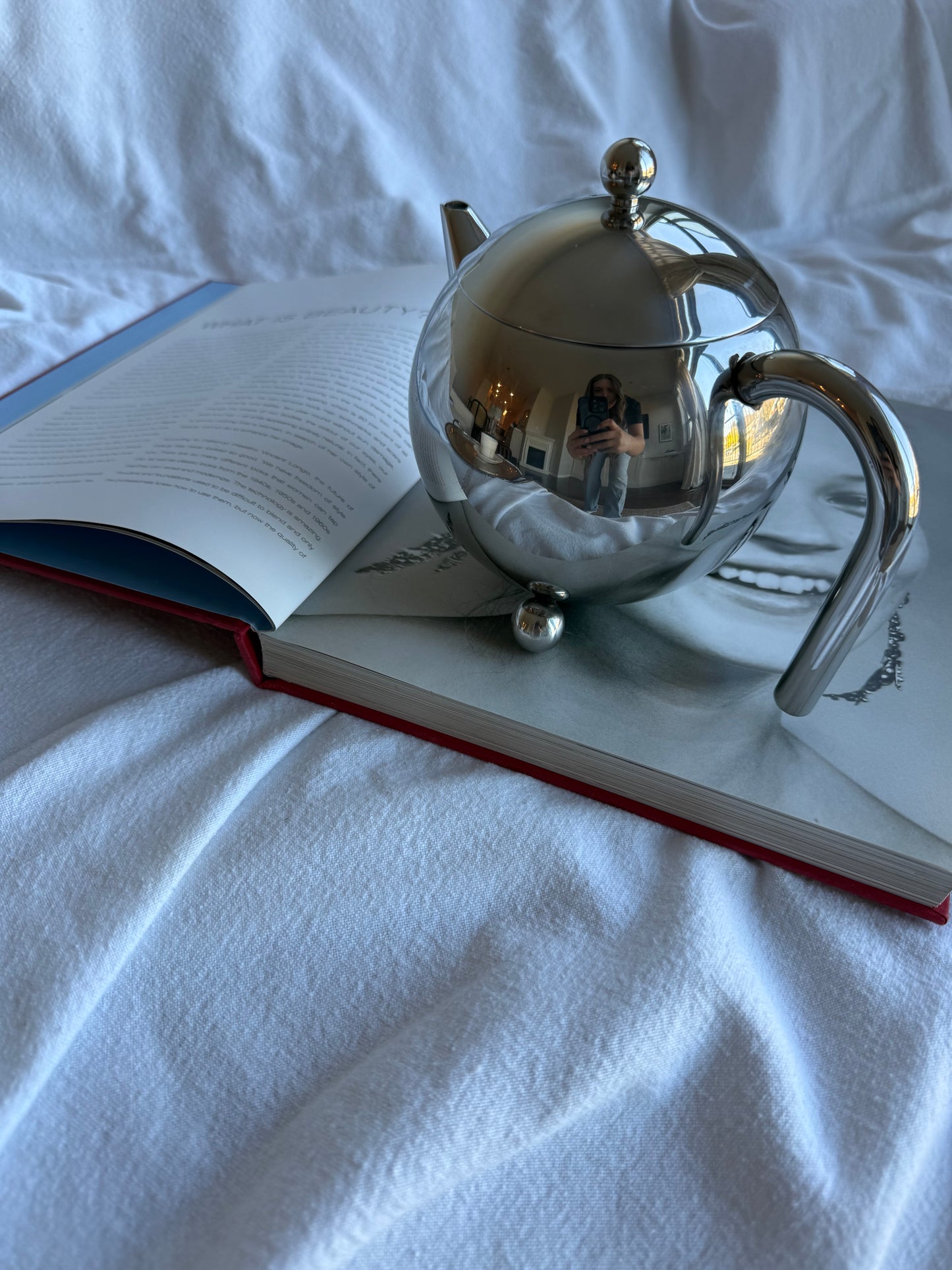 Vintage Stainless Steel Modernist Teapot