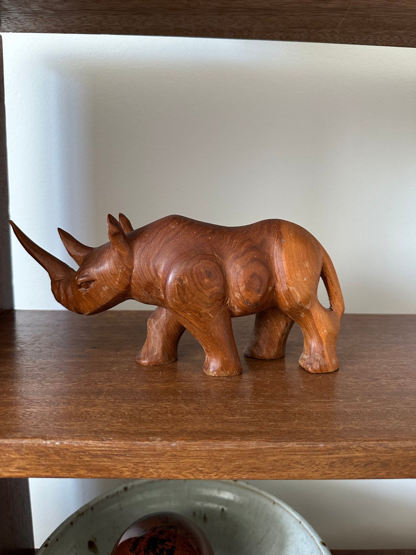 Teak Rhinoceros