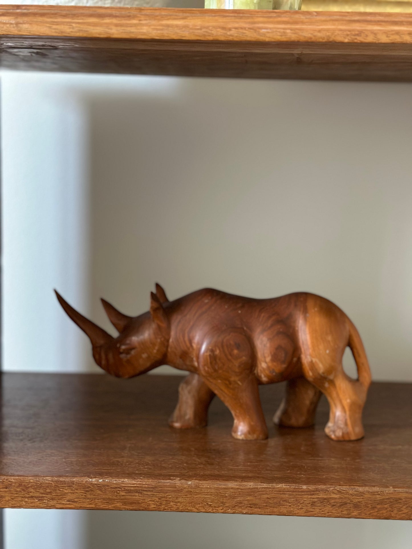 Teak Rhinoceros