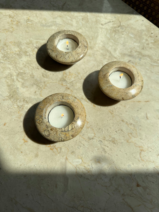 Three fossil tealight holders