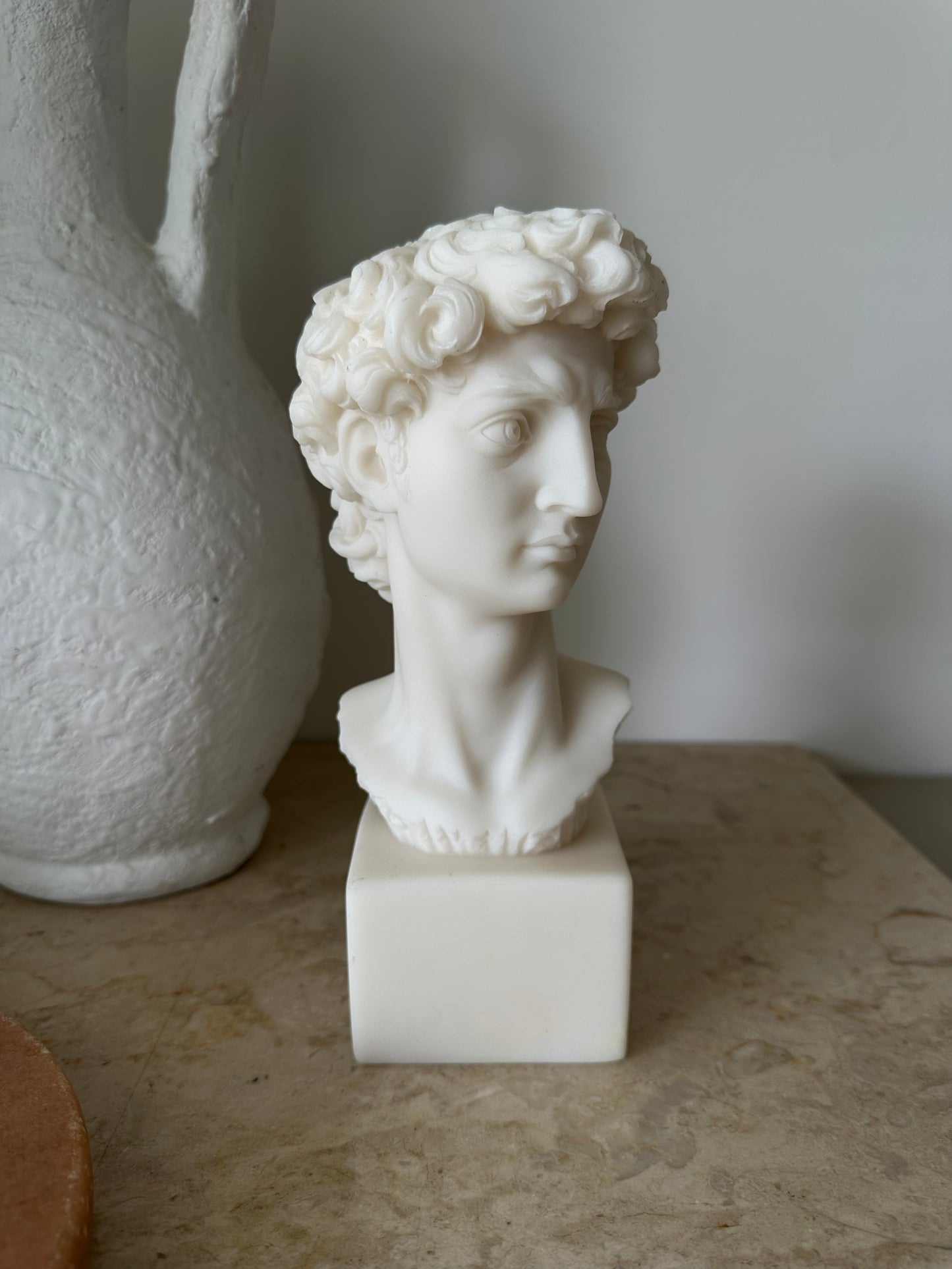 Michelangelo's Bust of David