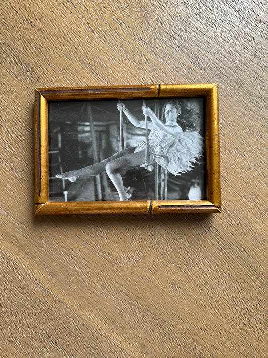 Vintage frame