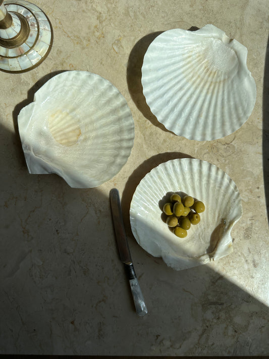 Shell trays