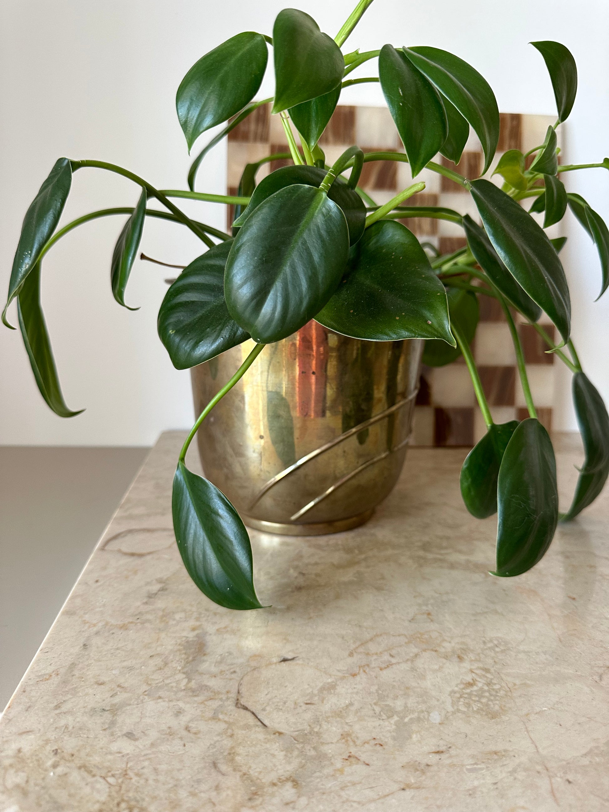 Brass Plant Pot