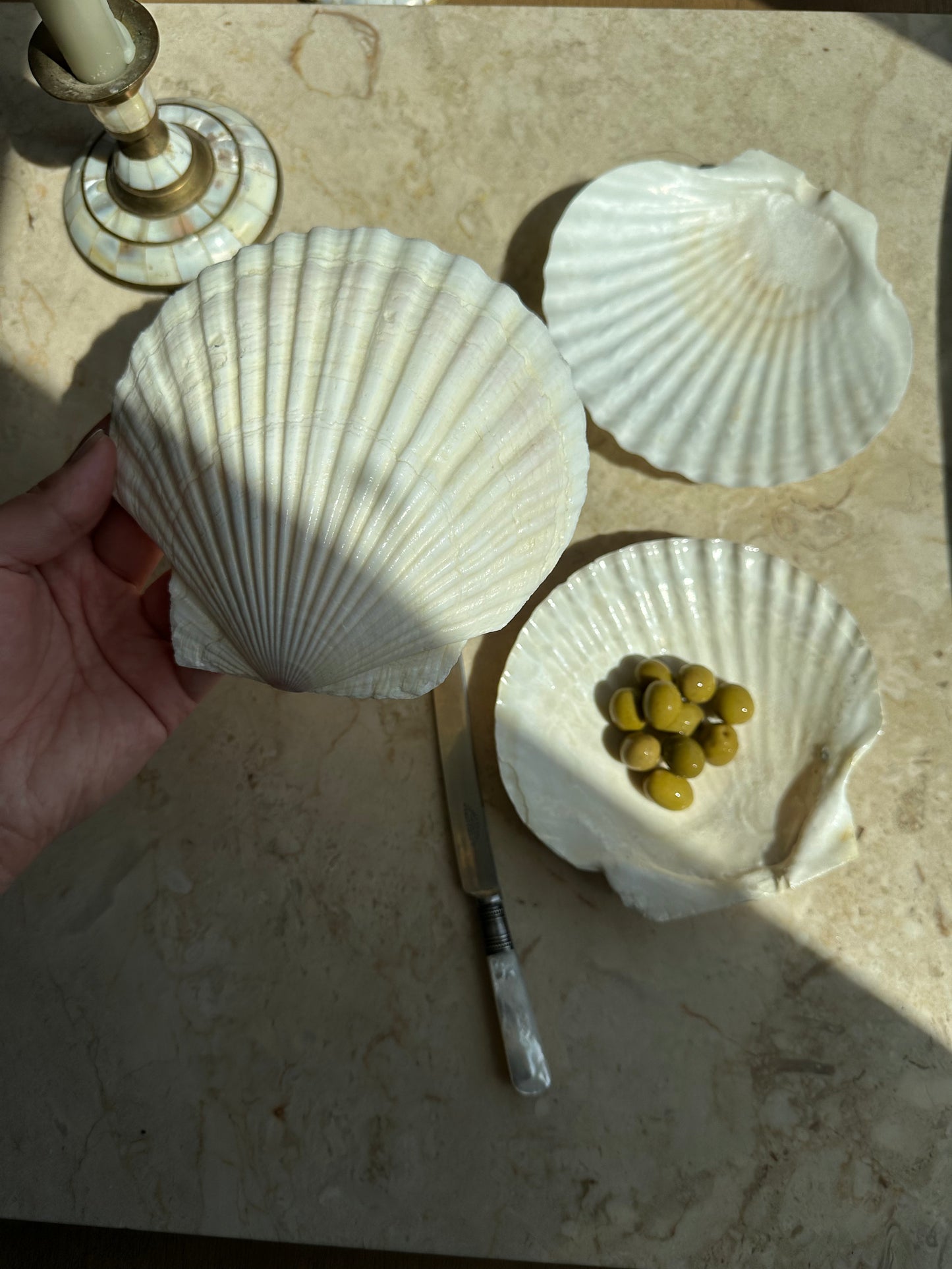 Natural Shell Serving Plates (Set of 3 ) – vintagefindsbc