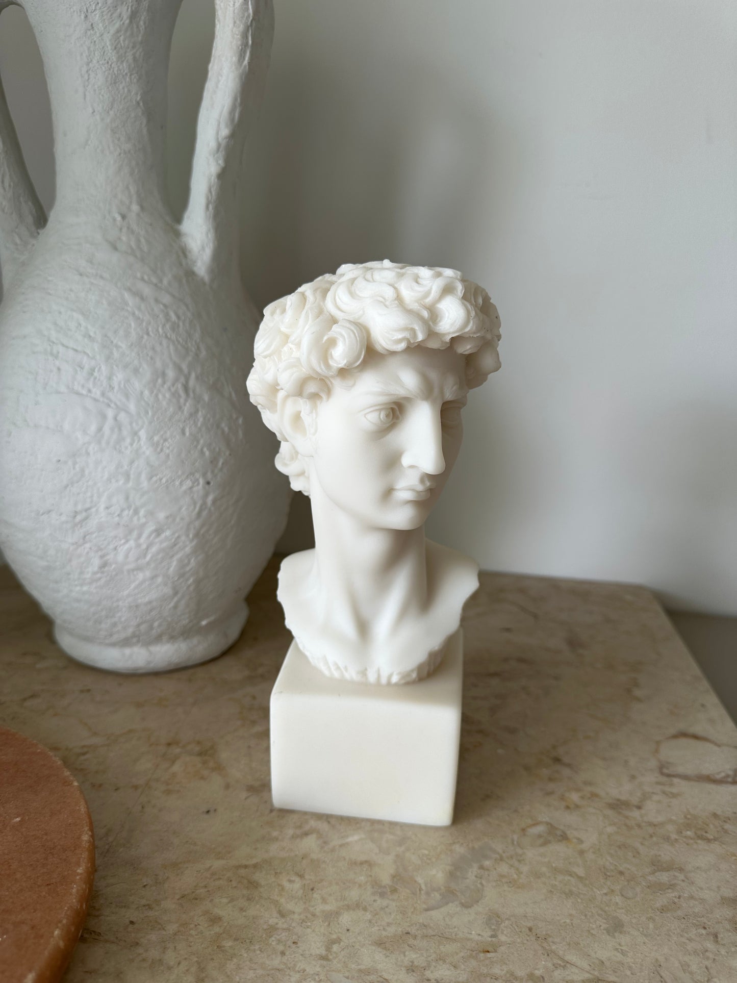 Michelangelo's Bust of David