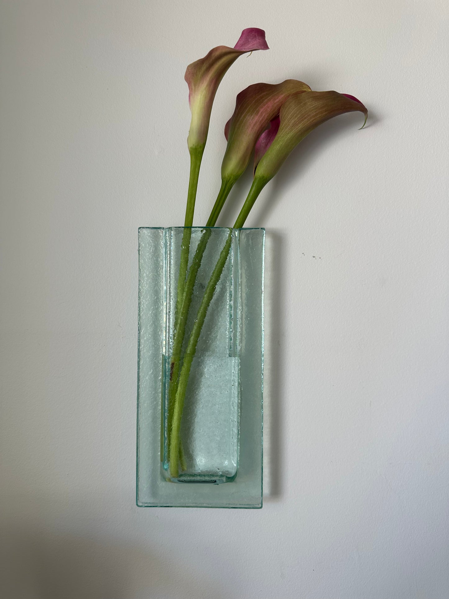 Glass wall hanging vase