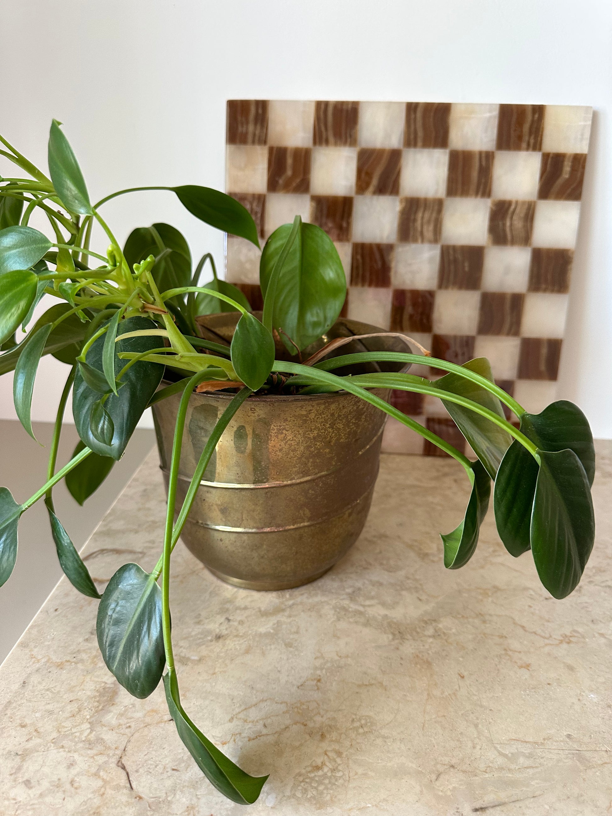 Brass Plant Pot