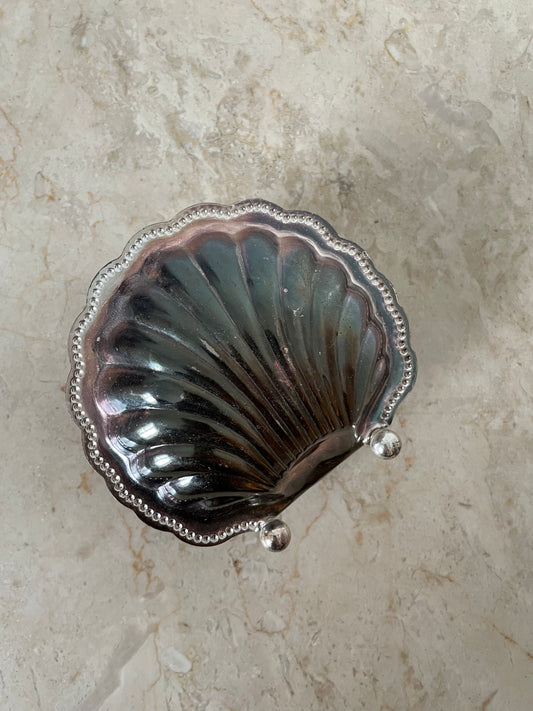 Shell napkin holder