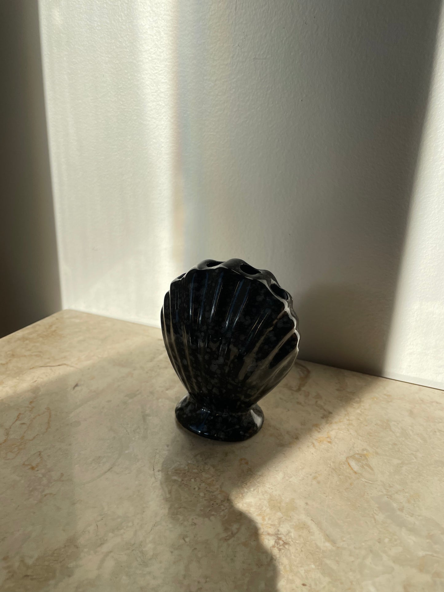 Shell toothbrush holder