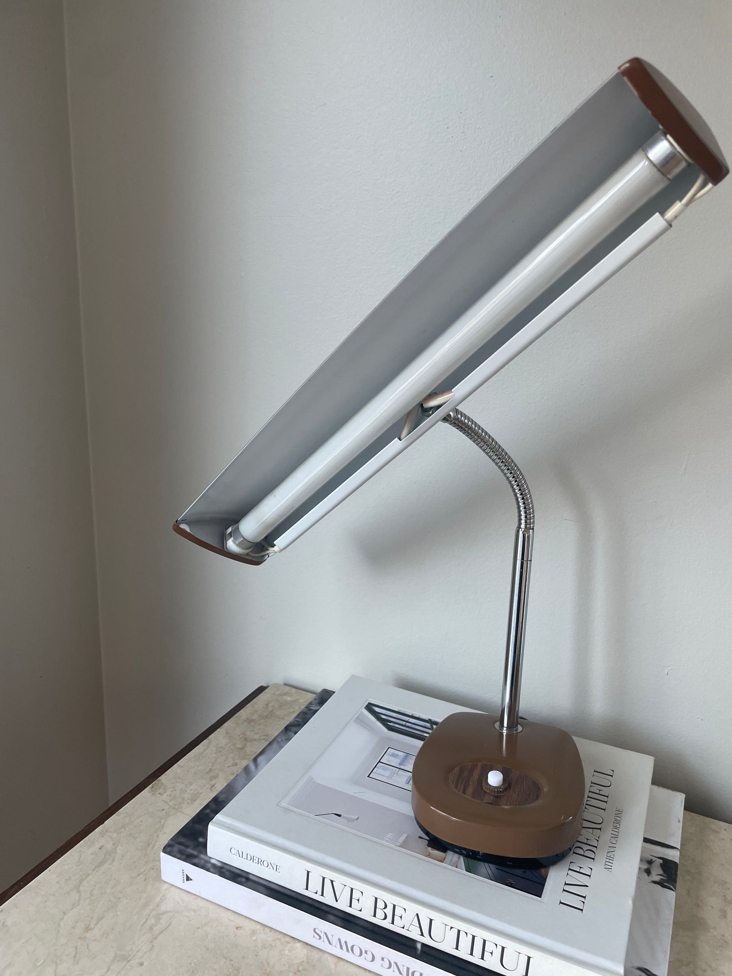 Vintage Goosneck Desk Lamp