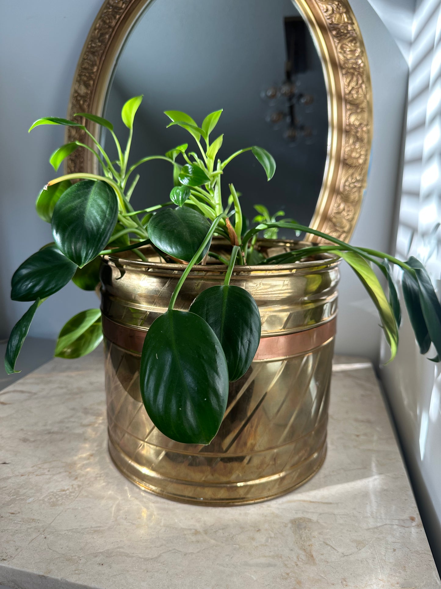 Large brass plant pot