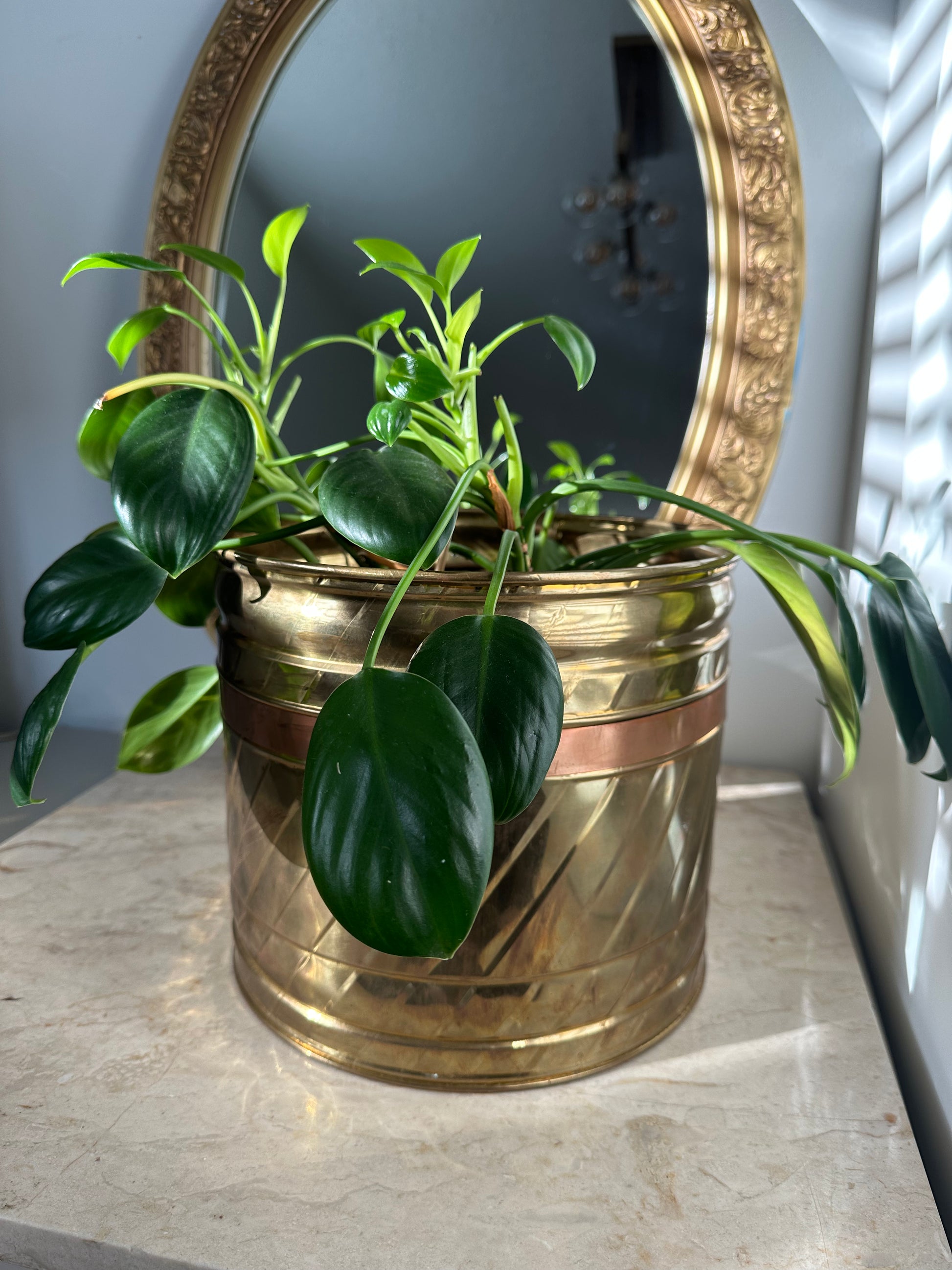 Large brass plant pot – vintagefindsbc
