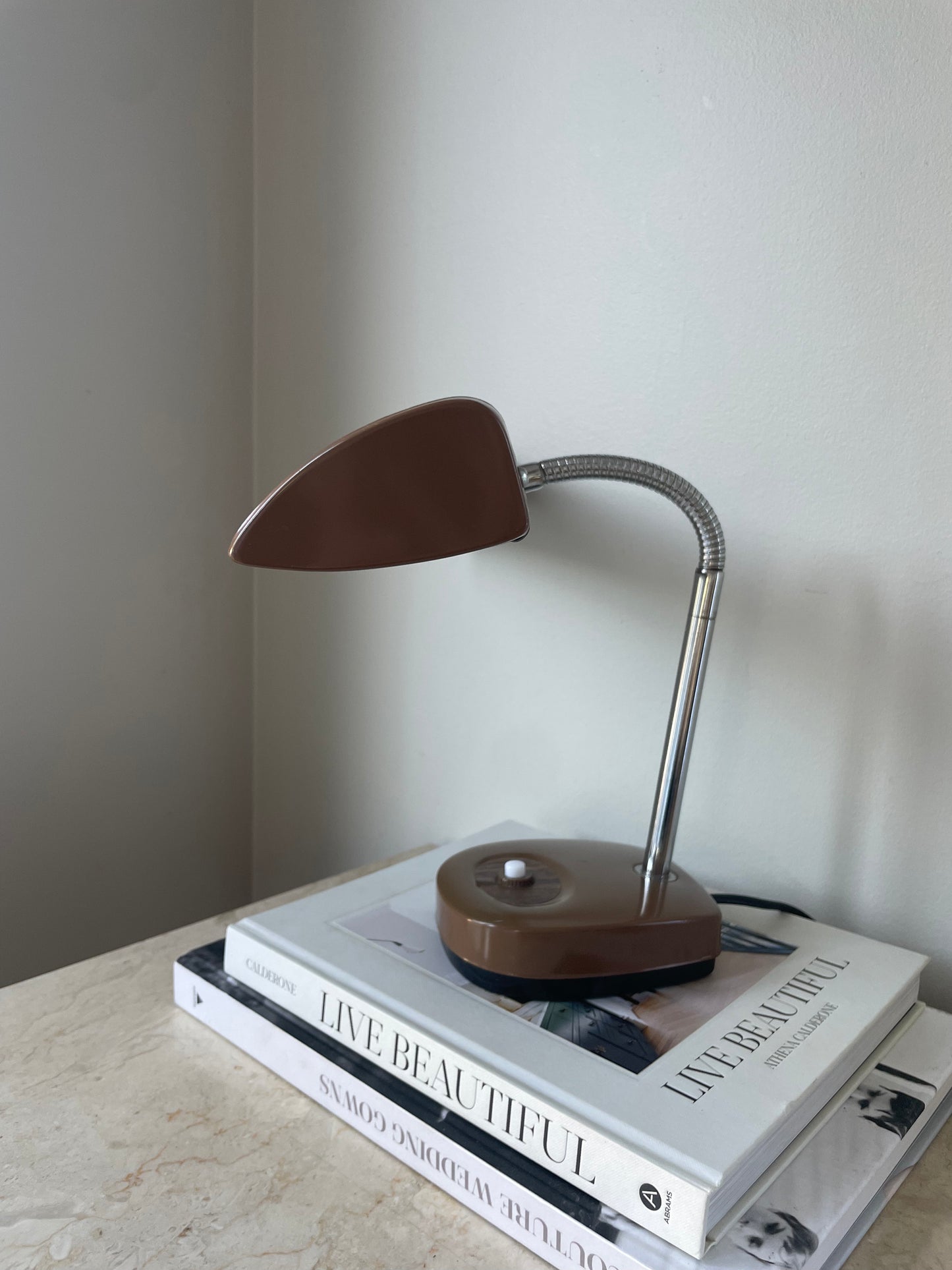 Vintage Goosneck Desk Lamp