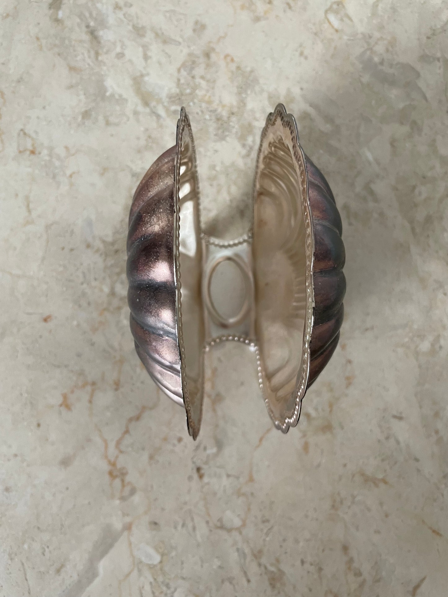 Shell napkin holder