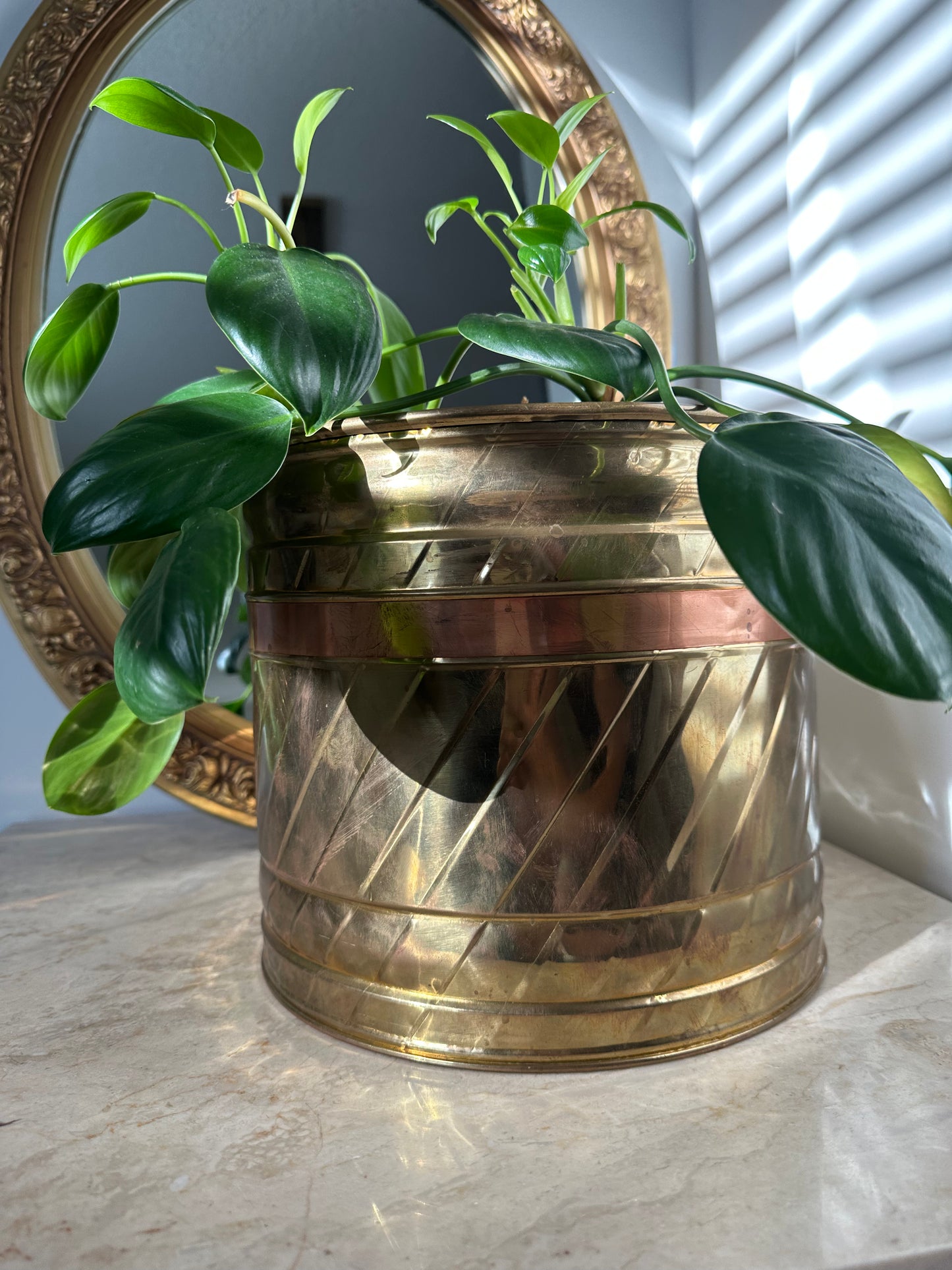 Large brass plant pot