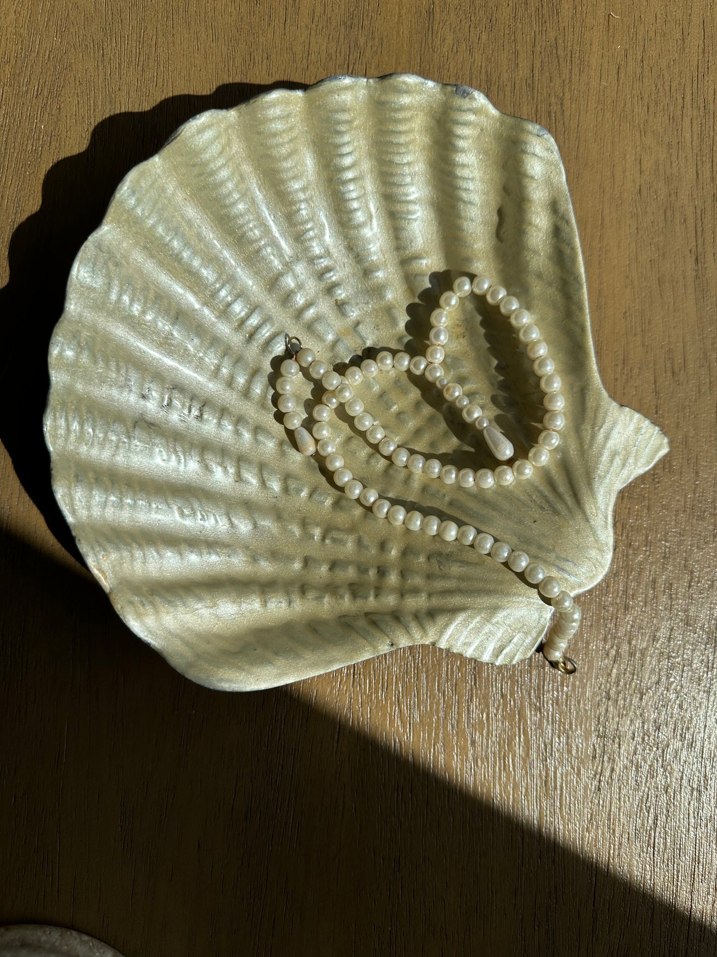 Shell dish