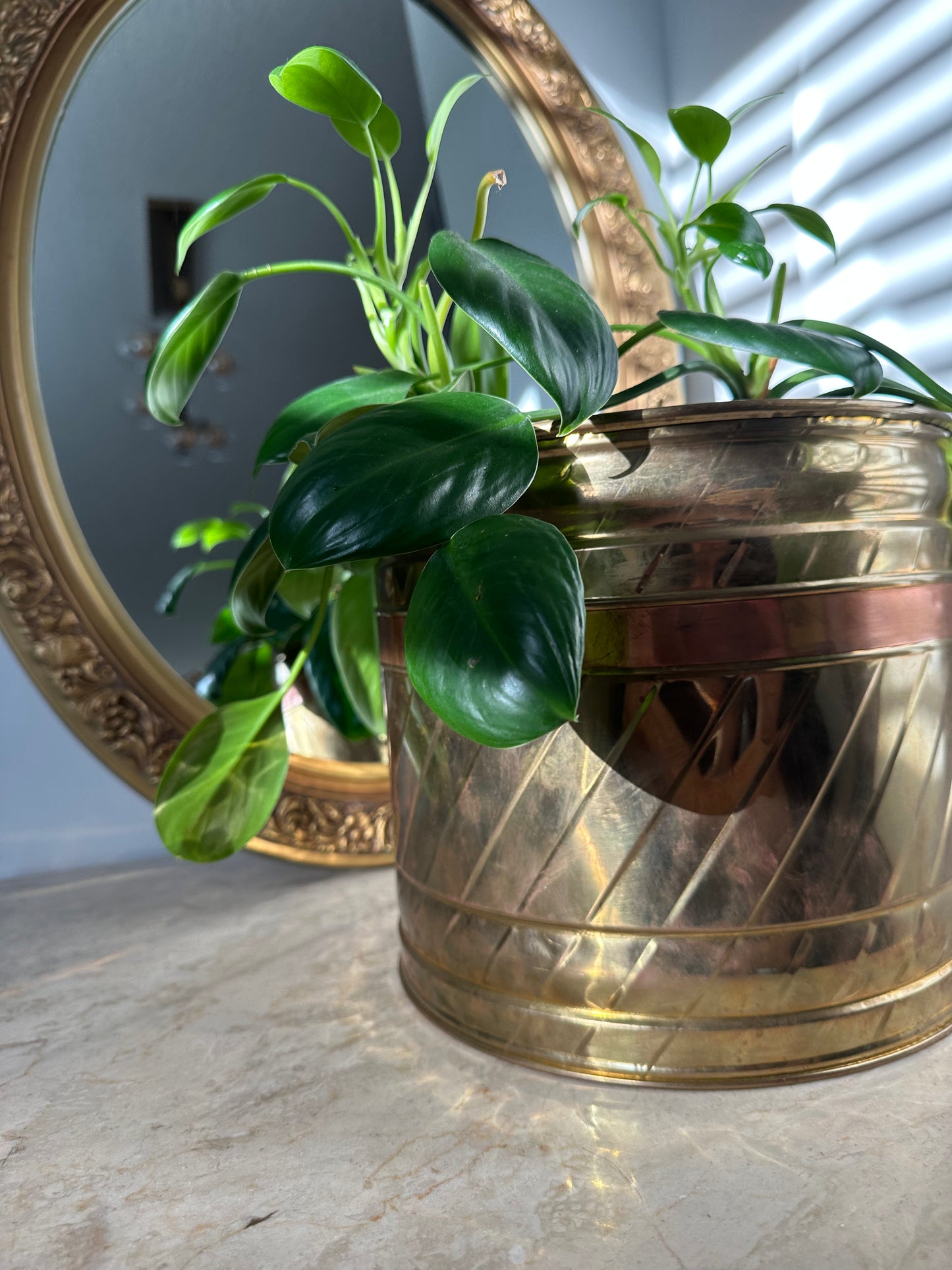 Large brass plant pot