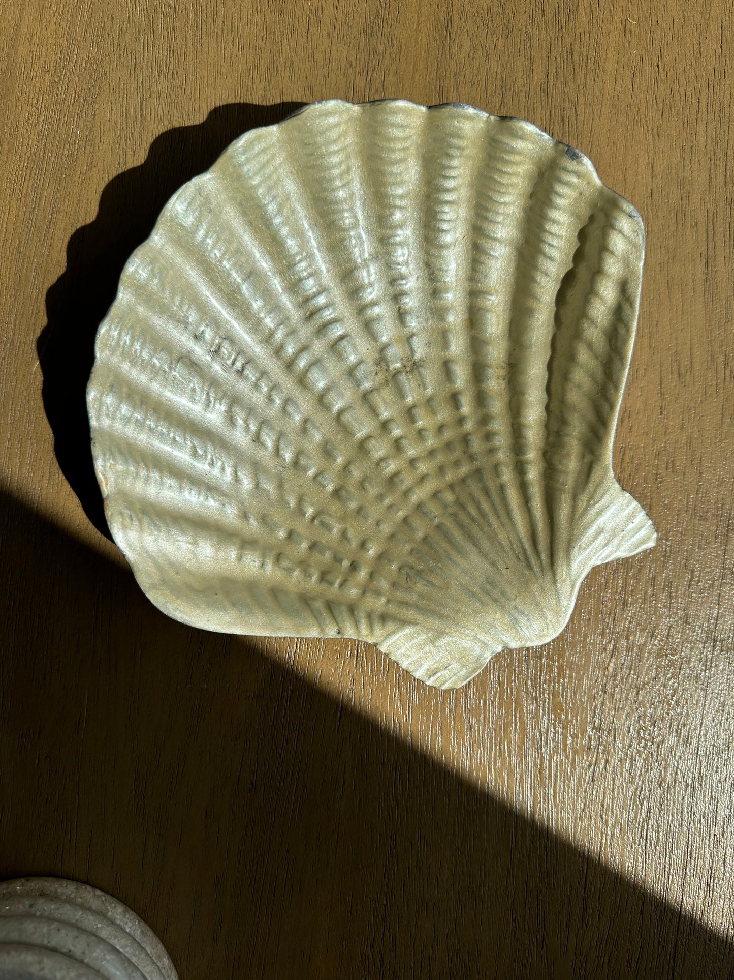 Shell dish